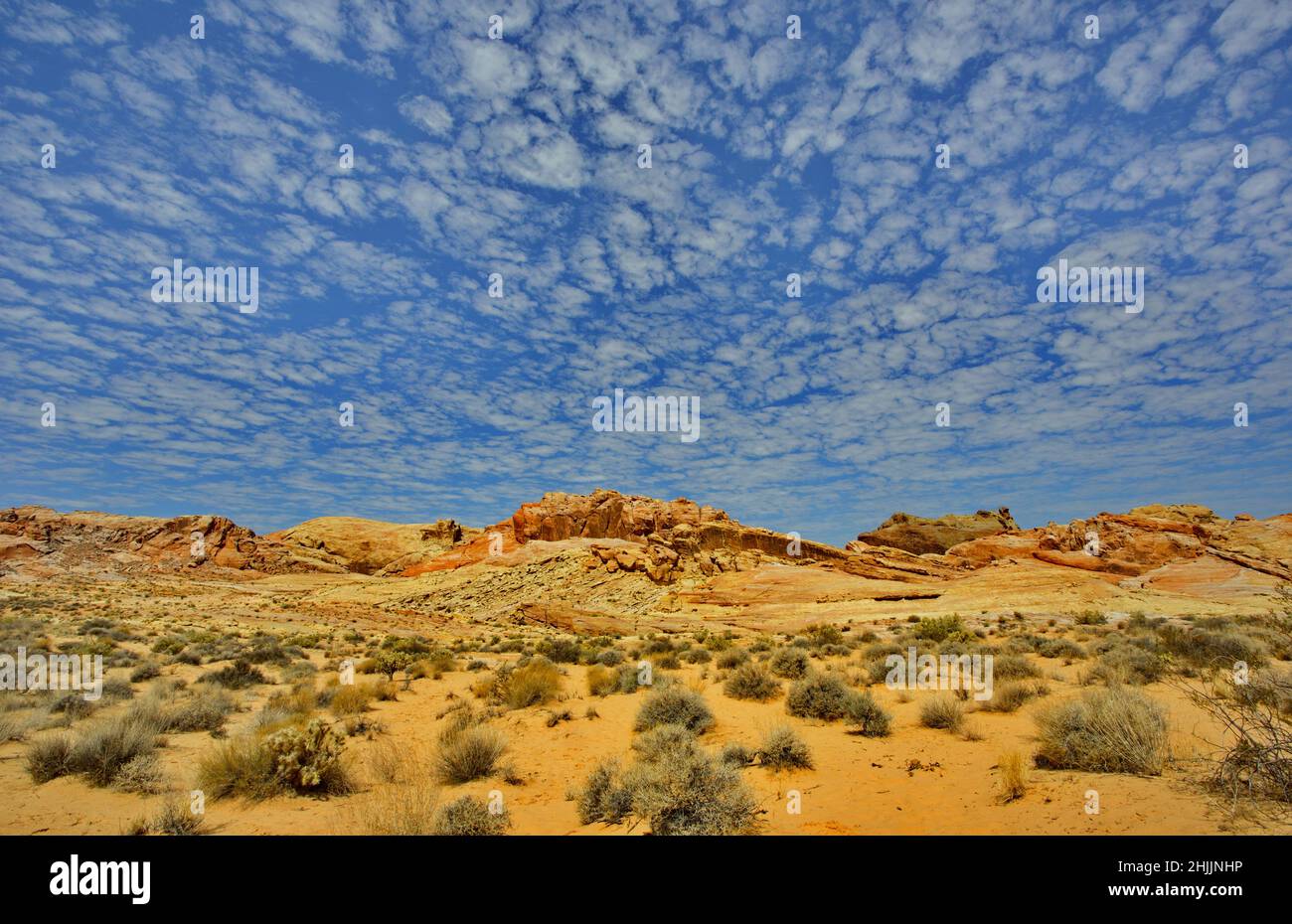 Magnifique paysage vue du ciel bleu et des collines de grès rouge dans le parc national de la Vallée de feu dans le désert de Mohave du Nevada Banque D'Images