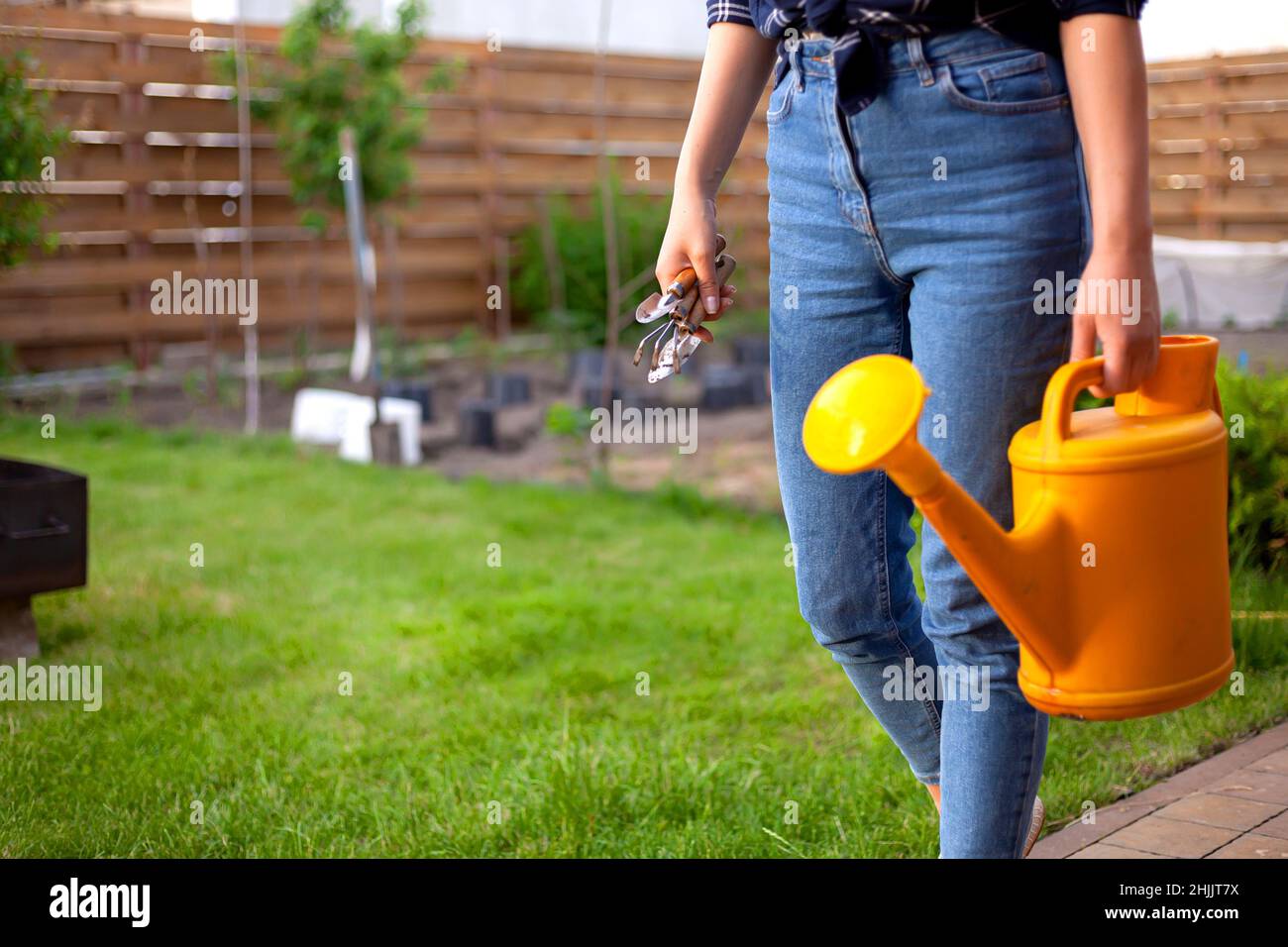 femme jardinière en chapeau arrosoir des plantes dans le jardin dans la  cour Photo Stock - Alamy