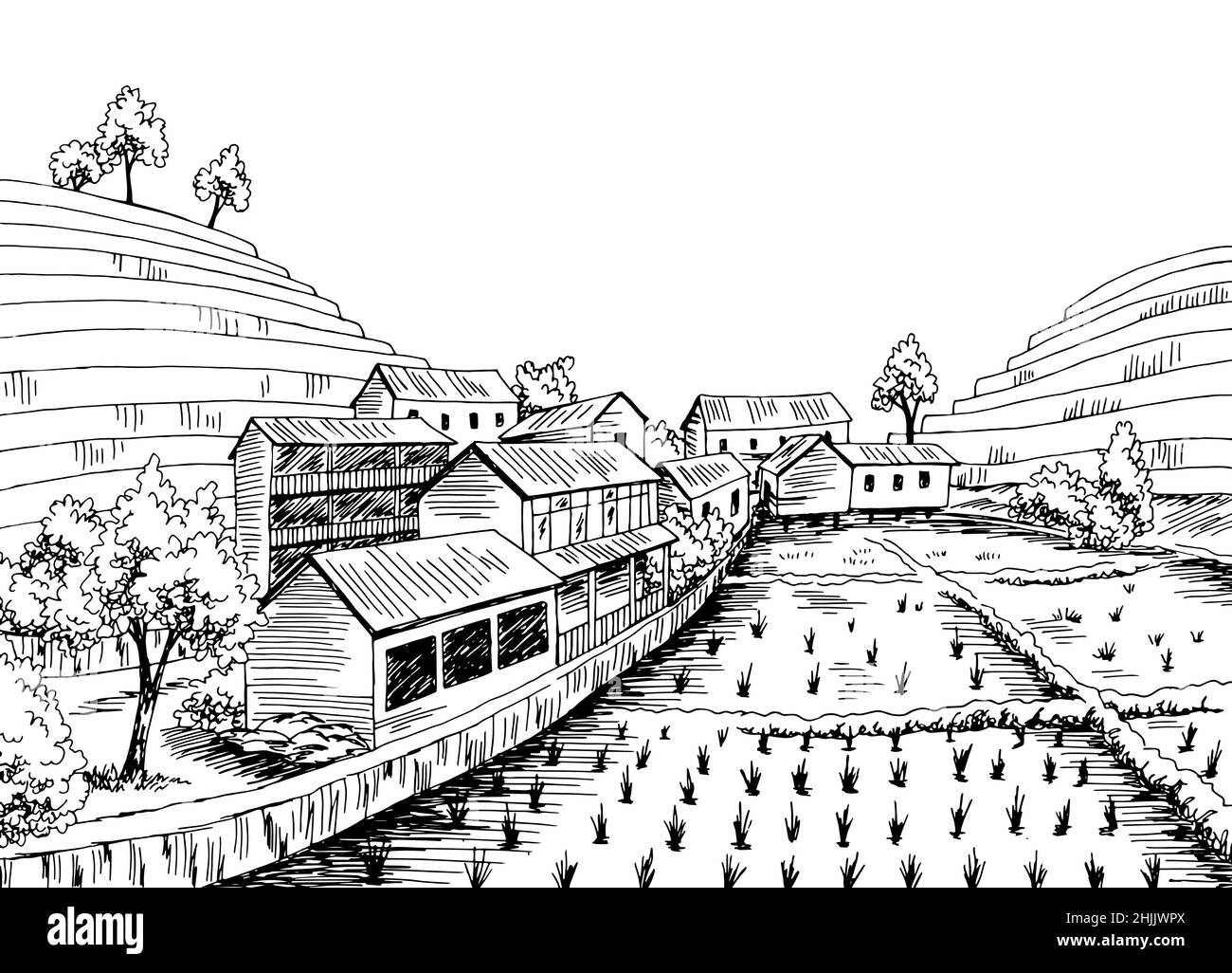 Village riz champ graphique noir blanc paysage rural esquisse illustration vecteur Illustration de Vecteur