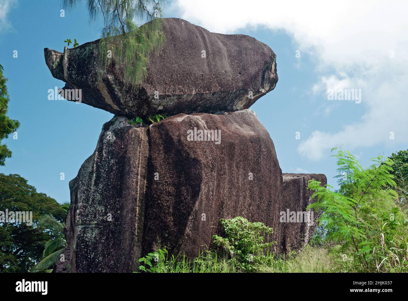 Pig Rock sur l'île de Mahé est un monument national des Seychelles.On dit que ce rocher de granit ressemble à un porc qui s'enroule et qui s'arrate. Banque D'Images