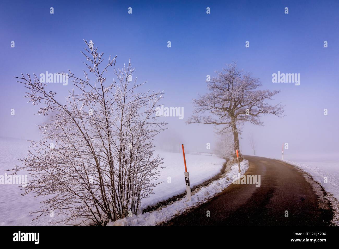 Route à travers le paysage hivernal enneigé avec des marqueurs routiers, Hirzel, Horgen, Zurich, Suisse Banque D'Images