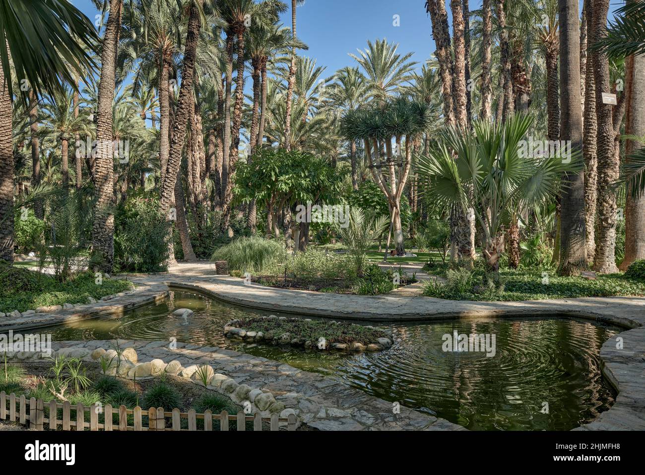 Le jardin Huerto del Cura a été déclaré jardin artistique national en 1943, joyau de la palmeraie historique d'Elche, province d'Alicante, Espagne, Banque D'Images