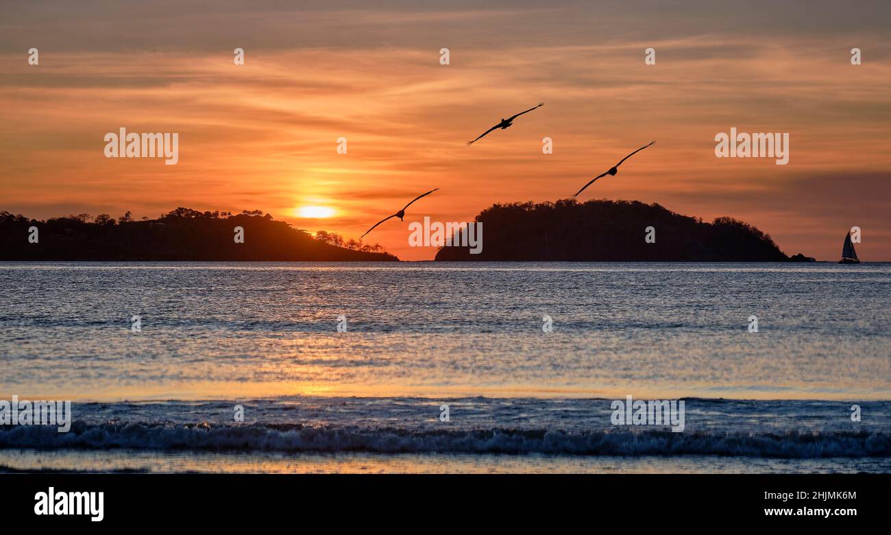Les pélicans volent en formation sur l'eau vers un coucher de soleil orange sur la plage de Potrero au Costa Rica Banque D'Images