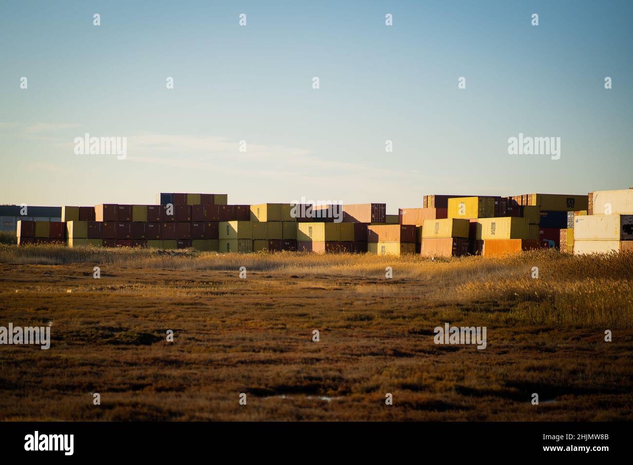 Vue panoramique sur les fourgonnettes-conteneurs dans un champ sous un ciel dégagé Banque D'Images