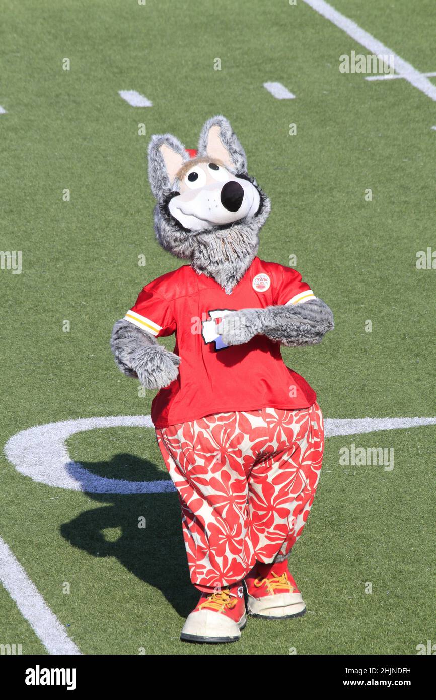 Mascott du chef de Kansas City sur un terrain de football au Kansas, qui est lumineux et coloré lors d'une journée colorée. Banque D'Images Mascott du chef de Kansas City sur un terrain de football au Kansas, qui est lumineux et coloré lors d'une journée colorée. Banque D'Images