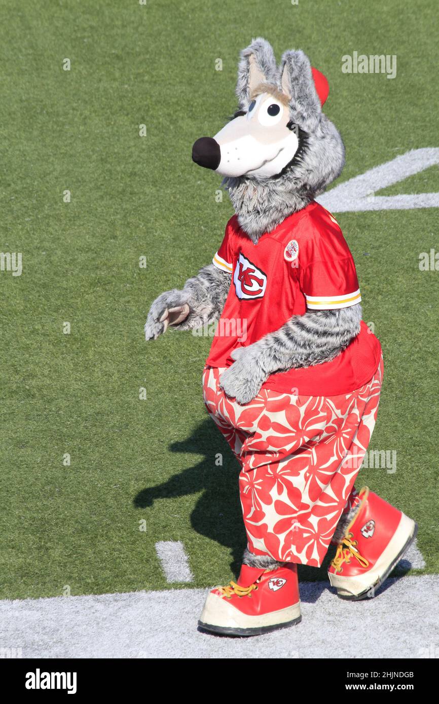 Mascott du chef de Kansas City sur un terrain de football au Kansas, qui est lumineux et coloré lors d'une journée colorée. Banque D'Images Mascott du chef de Kansas City sur un terrain de football au Kansas, qui est lumineux et coloré lors d'une journée colorée. Banque D'Images