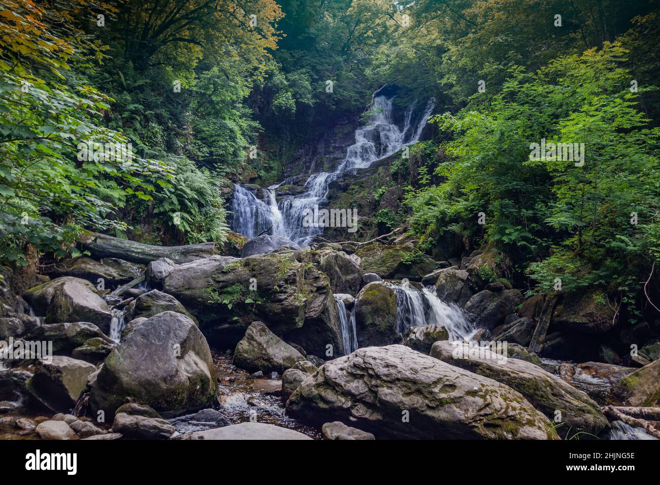 Cascade de Torc, montagnes de Mangerton, cascade du sanglier, cascade longue, rivière Owengarriff, parc national de Killarney, Irlande Banque D'Images