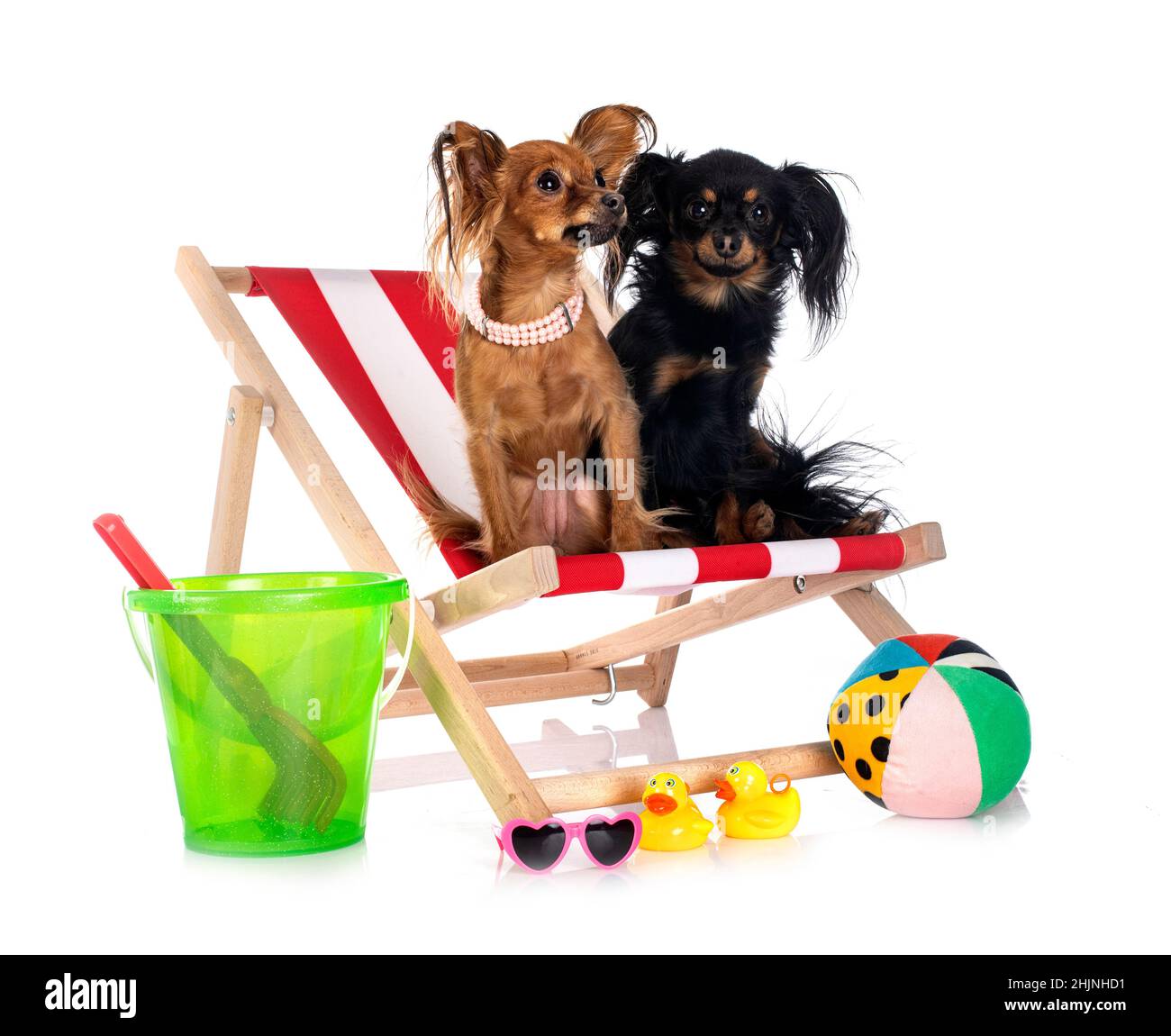 Russkiy Toys in front of white background Banque D'Images