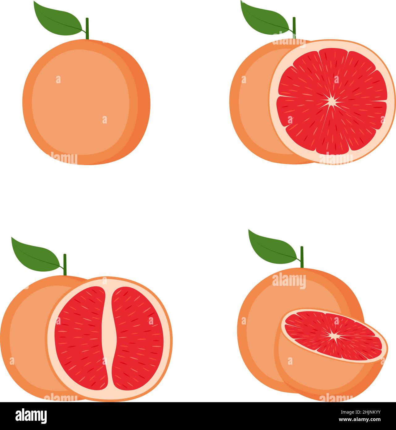 Pamplemousse, fruit entier, moitié, tranche, illustration vectorielle Illustration de Vecteur