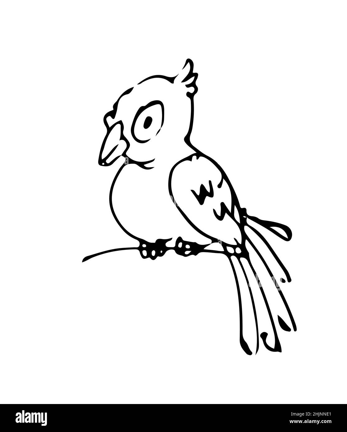 Oiseau drôle.Animal sauvage joyeux.Un caractère comique.Esquisse de contour.Le dessin à la main est isolé sur un fond blanc.Vecteur Illustration de Vecteur
