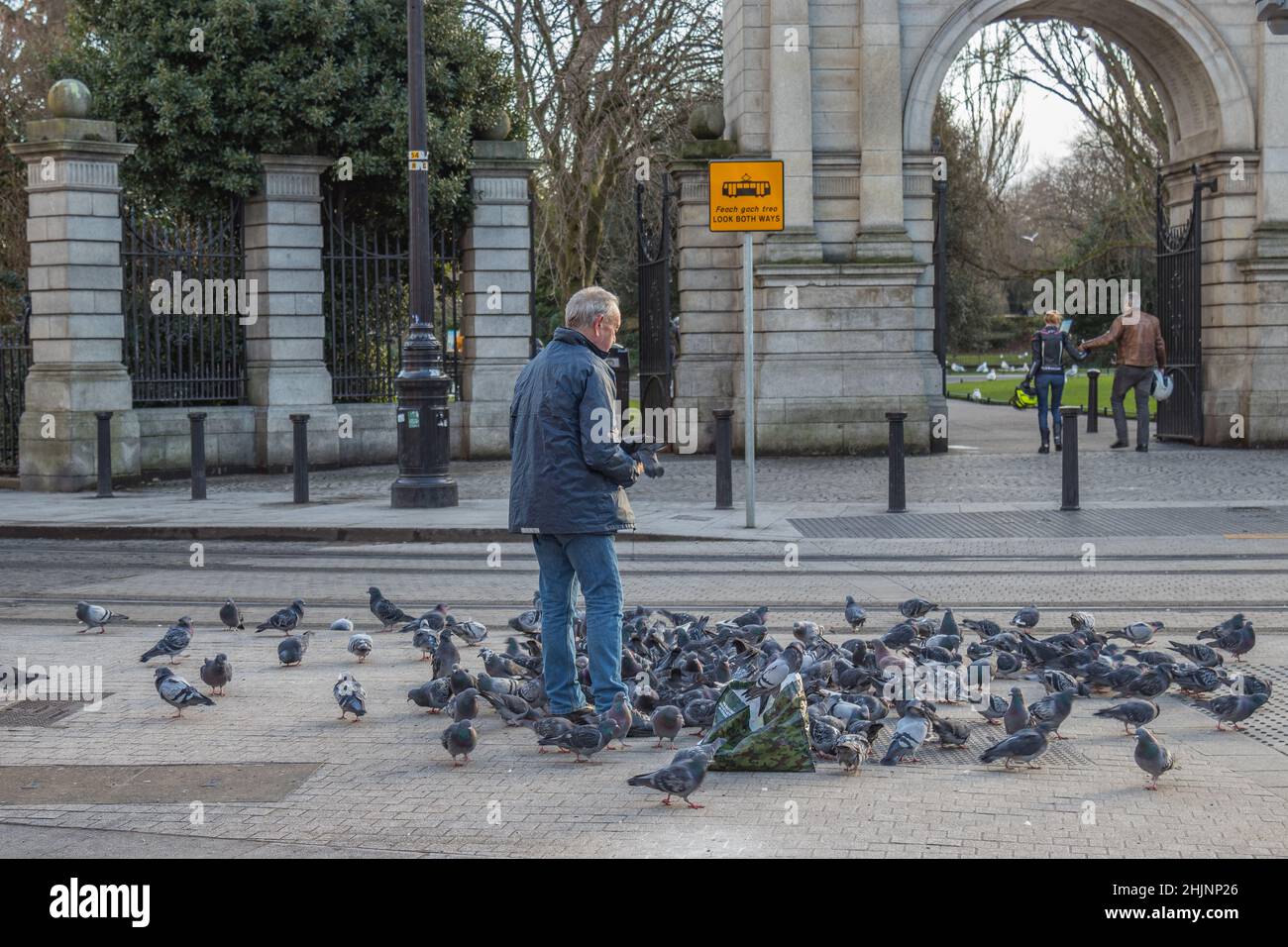 Un vieil homme nourrissant un troupeau de pigeons dans la rue à la porte de St Stephen's Green Park, photographie de rues, Dublin, Irlande Banque D'Images