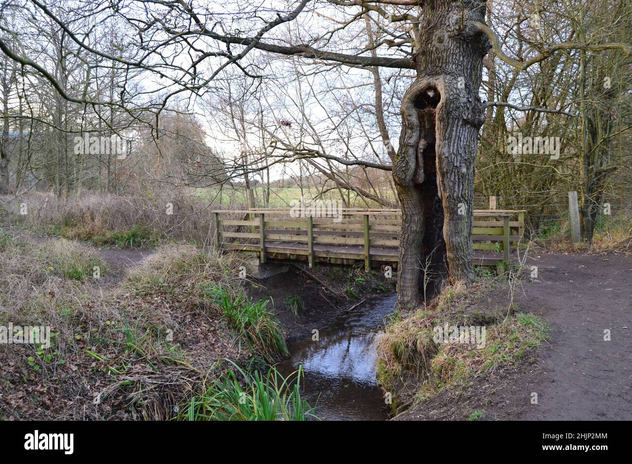 Le ruisseau Kyd en hiver.Petts Wood, Hawkwood Estate, Tong Farm.Ce ruisseau s'élève à Locksbottom et devient la rivière Quaggy, un affluent de la Tamise Banque D'Images