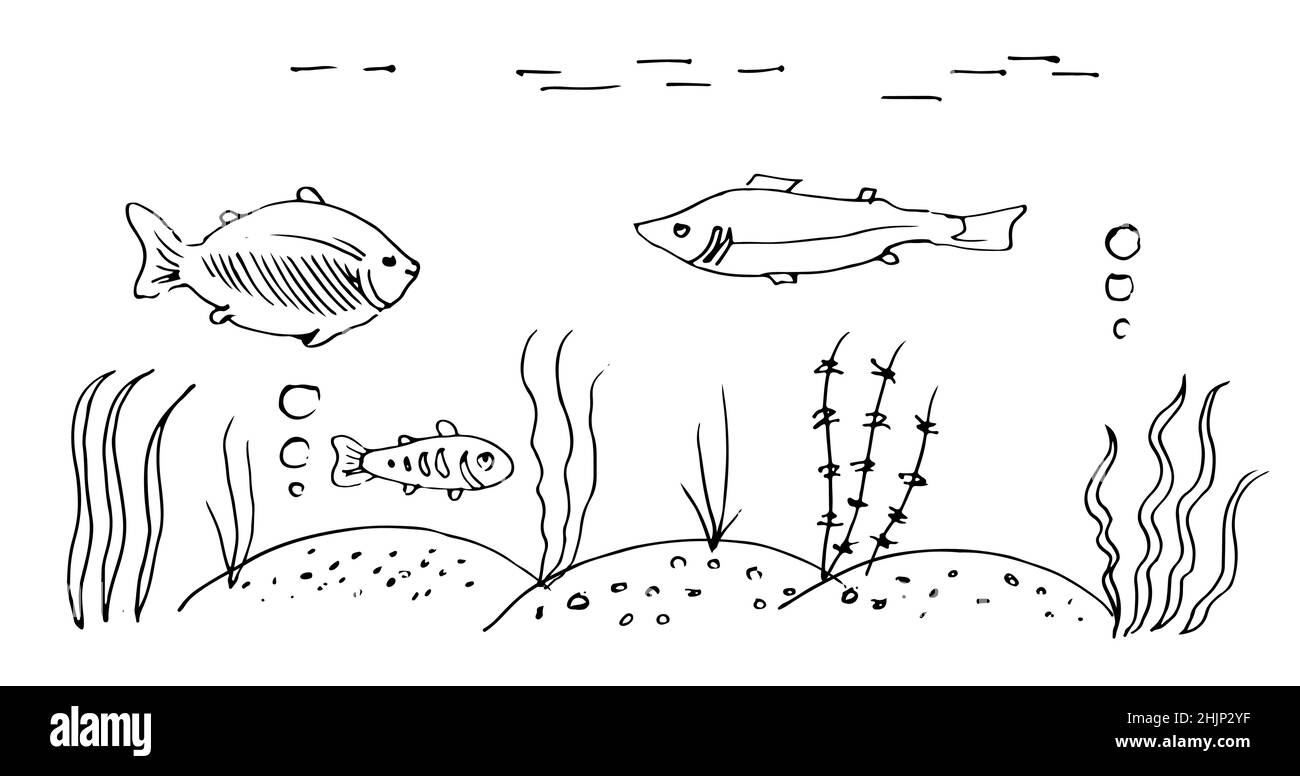 Pierre conique.Pierre sauvage.Morceau de falaise.En style de gravure de contour.Esquisse de contour.Le dessin manuel est isolé sur fond blanc.Vecteur Illustration de Vecteur