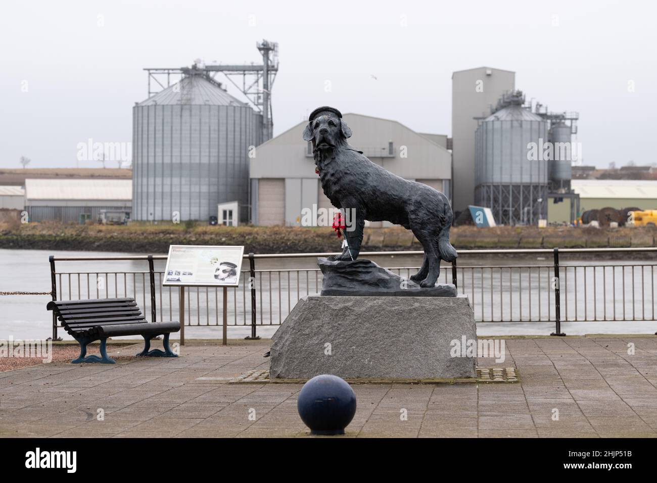 Statue de chien Bamse - mascotte des Forces norvégiennes libres pendant la Seconde Guerre mondiale - Montrose, Écosse, Royaume-Uni Banque D'Images