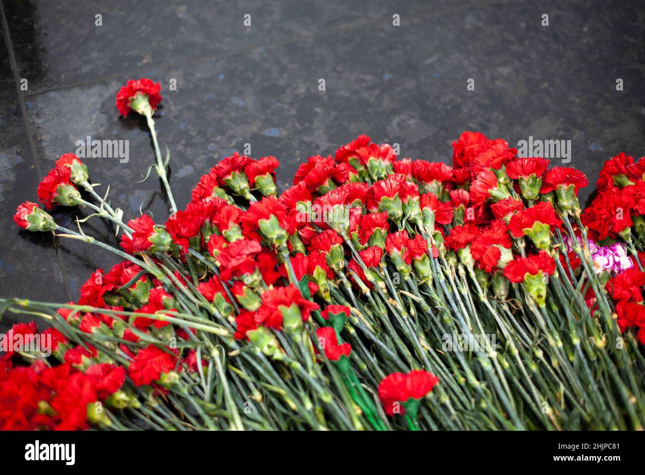 Fleurs sur le mémorial.Détails de la décoration funéraire.Bouquet de fleurs sur la tombe.Cérémonie de deuil. Banque D'Images