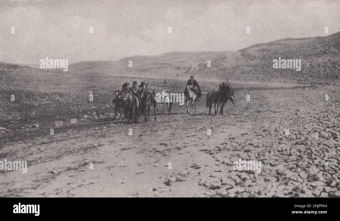 Lourd allant pour l'homme et la bête sur la route pierreuse de maan à la Wadi musa. Jordanie. Arabie (1923) Banque D'Images