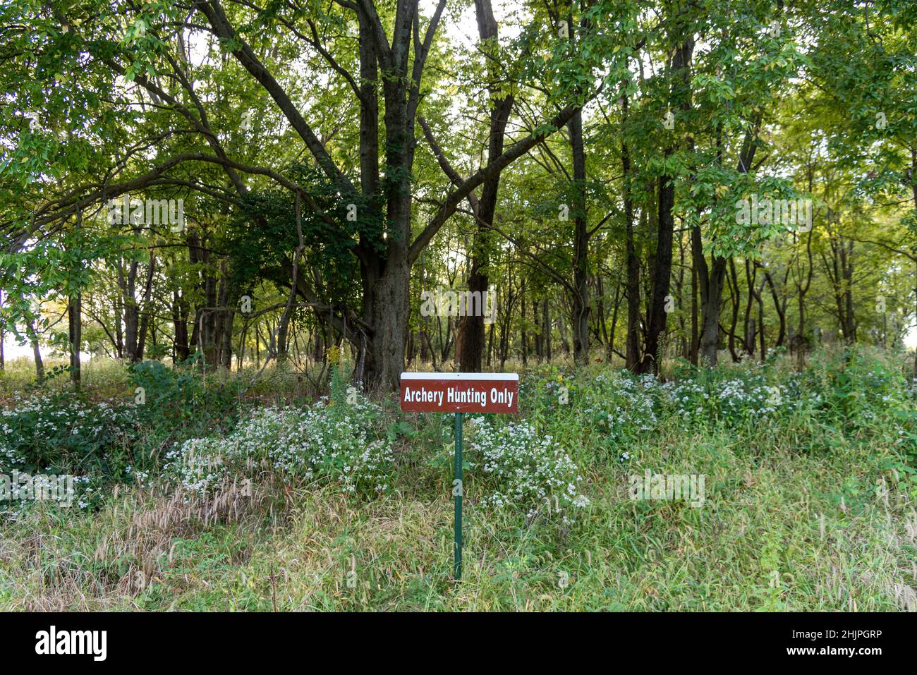 Un panneau affiché dans une zone boisée indique la chasse au tir à l'arc seulement. Banque D'Images