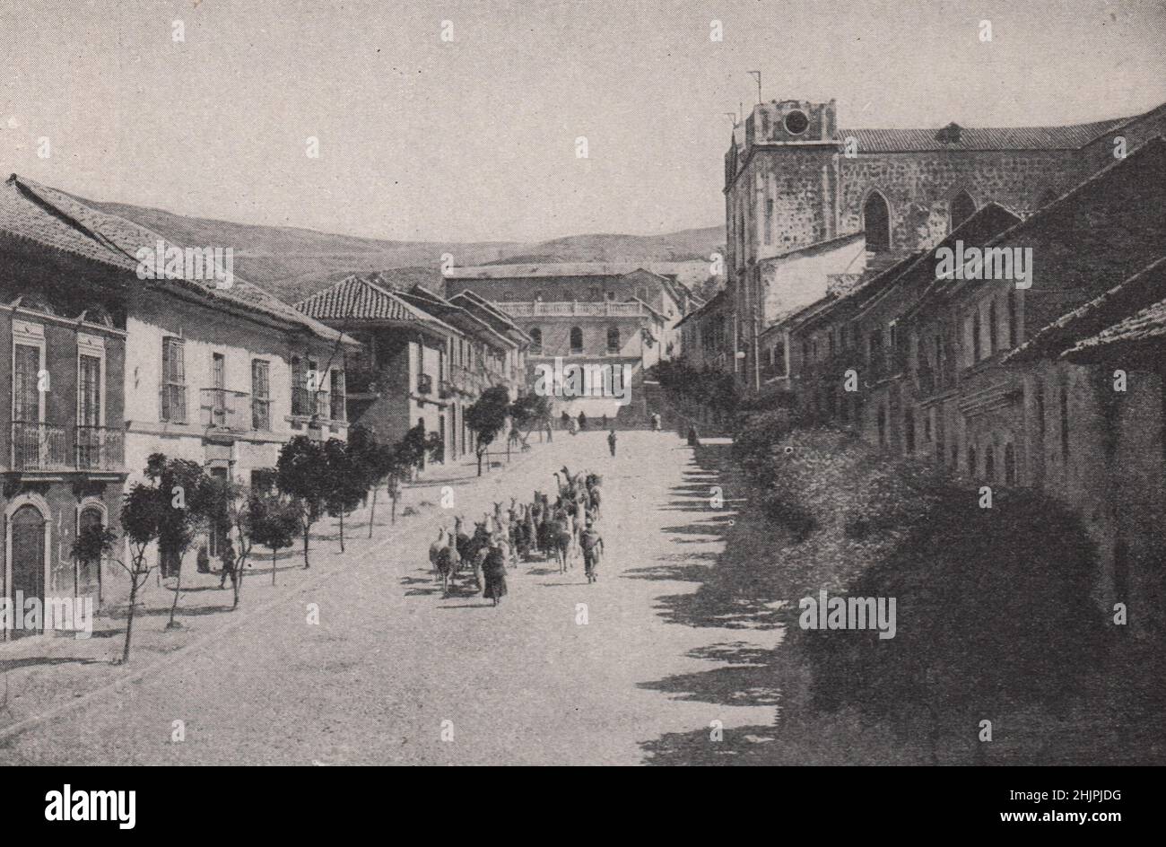 Conduit de lamas, les principaux bêtes de la Bolivie (1923) Banque D'Images