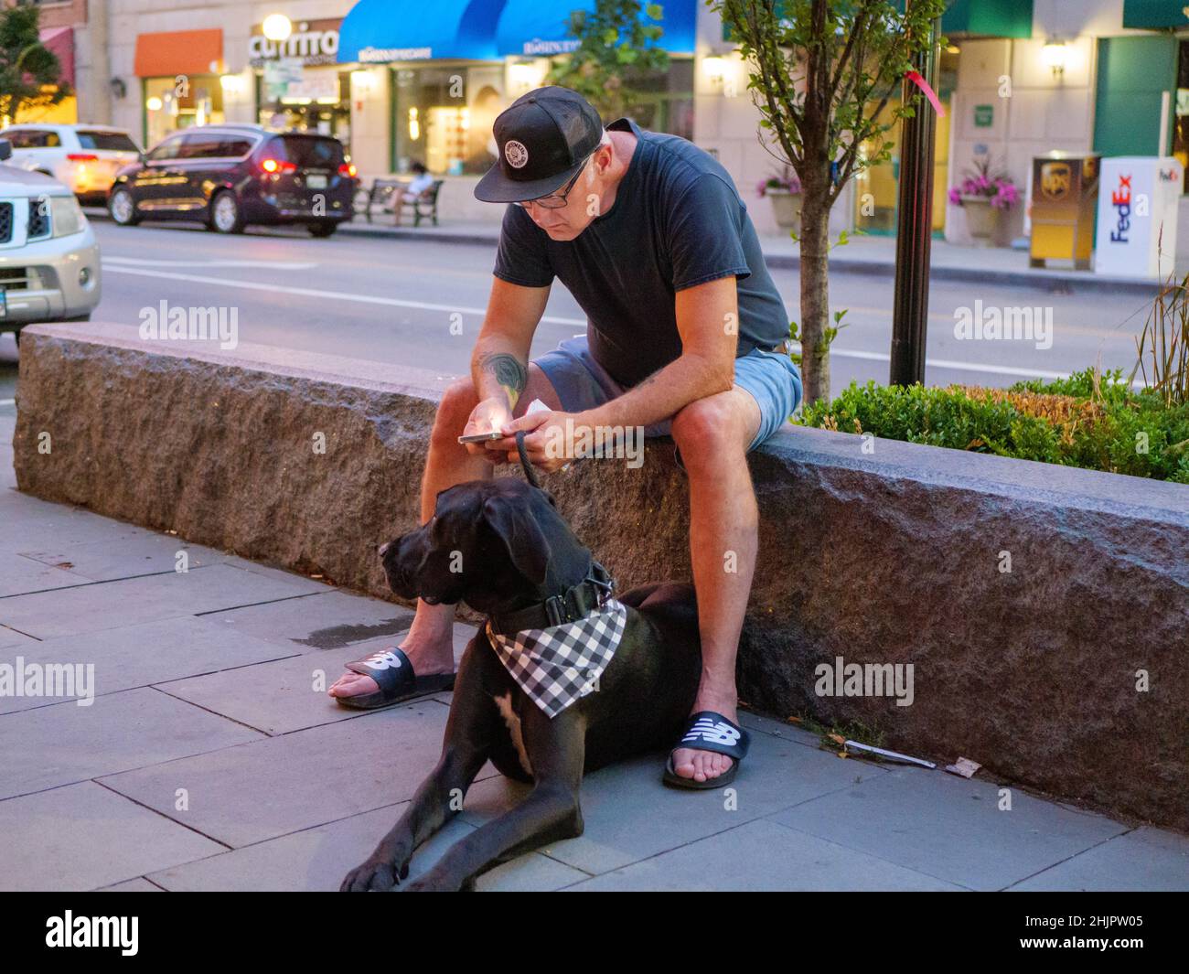 Homme lisant un téléphone portable pendant que son chien attend patiemment. Banque D'Images