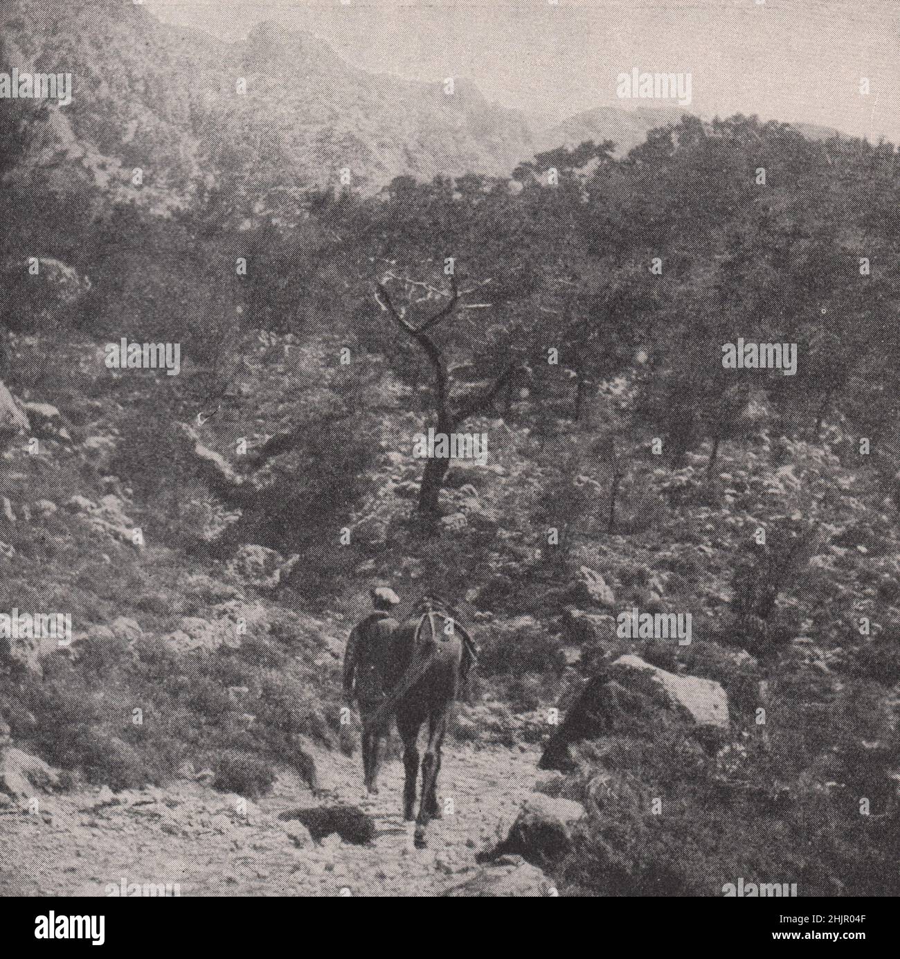Voyager dans le pays sauvage près de Kavusi. Grèce. Crète (1923) Banque D'Images