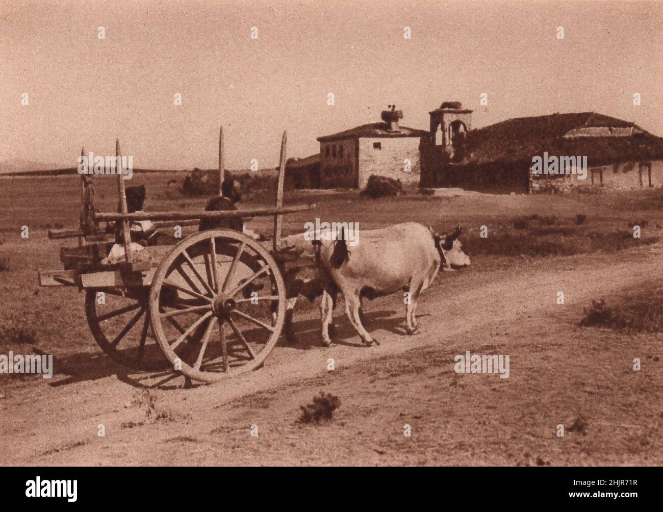 Le voyageur en Grèce se familiarise avec les maisons de ferme en ruine sur lesquelles les cigognes construisent leurs nids et les charrettes brutes tirées par des bœufs (1923) Banque D'Images