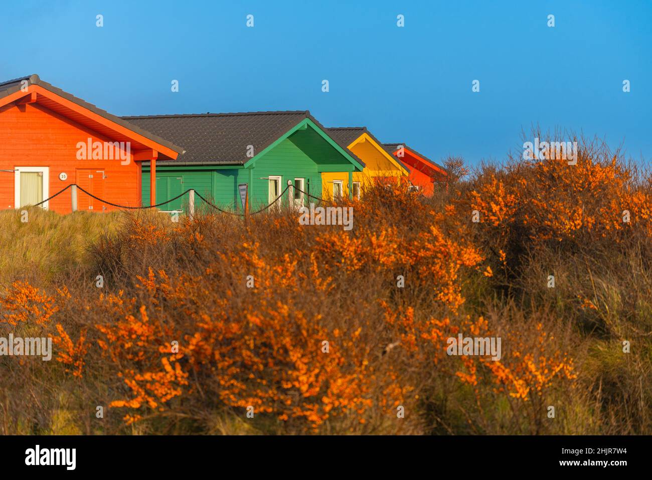 Maisons de vacances colorées sur la Dune, île de la Mer du Nord d'Helgoland, Schleswig-Holstein, Allemagne du Nord, Europe centrale Banque D'Images