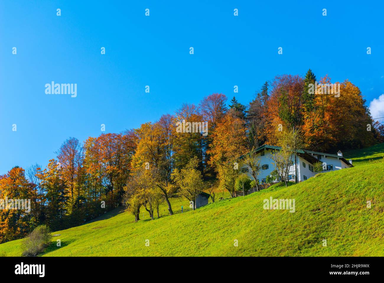 Pâturages alpins le long de Gerer Höhenweg ou Gerer randonnée Trail, Maria Gern, Berchtesgaden, Berchtesgadener Land, haute-Bavière,Bavière, sud de l'Allemagne Banque D'Images