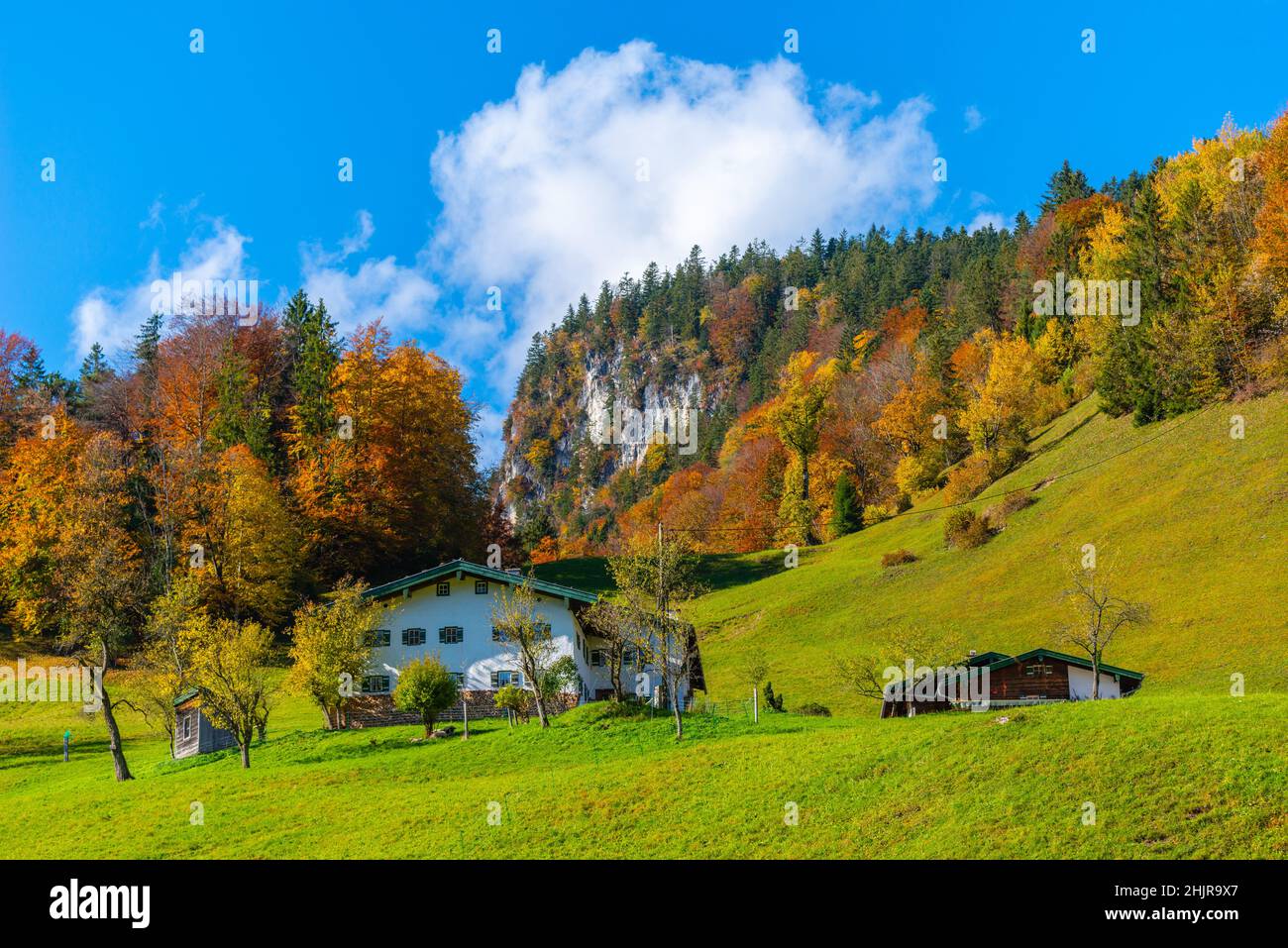 Pâturages alpins le long de Gerer Höhenweg ou Gerer randonnée Trail, Maria Gern, Berchtesgaden, Berchtesgadener Land, haute-Bavière,Bavière, sud de l'Allemagne Banque D'Images