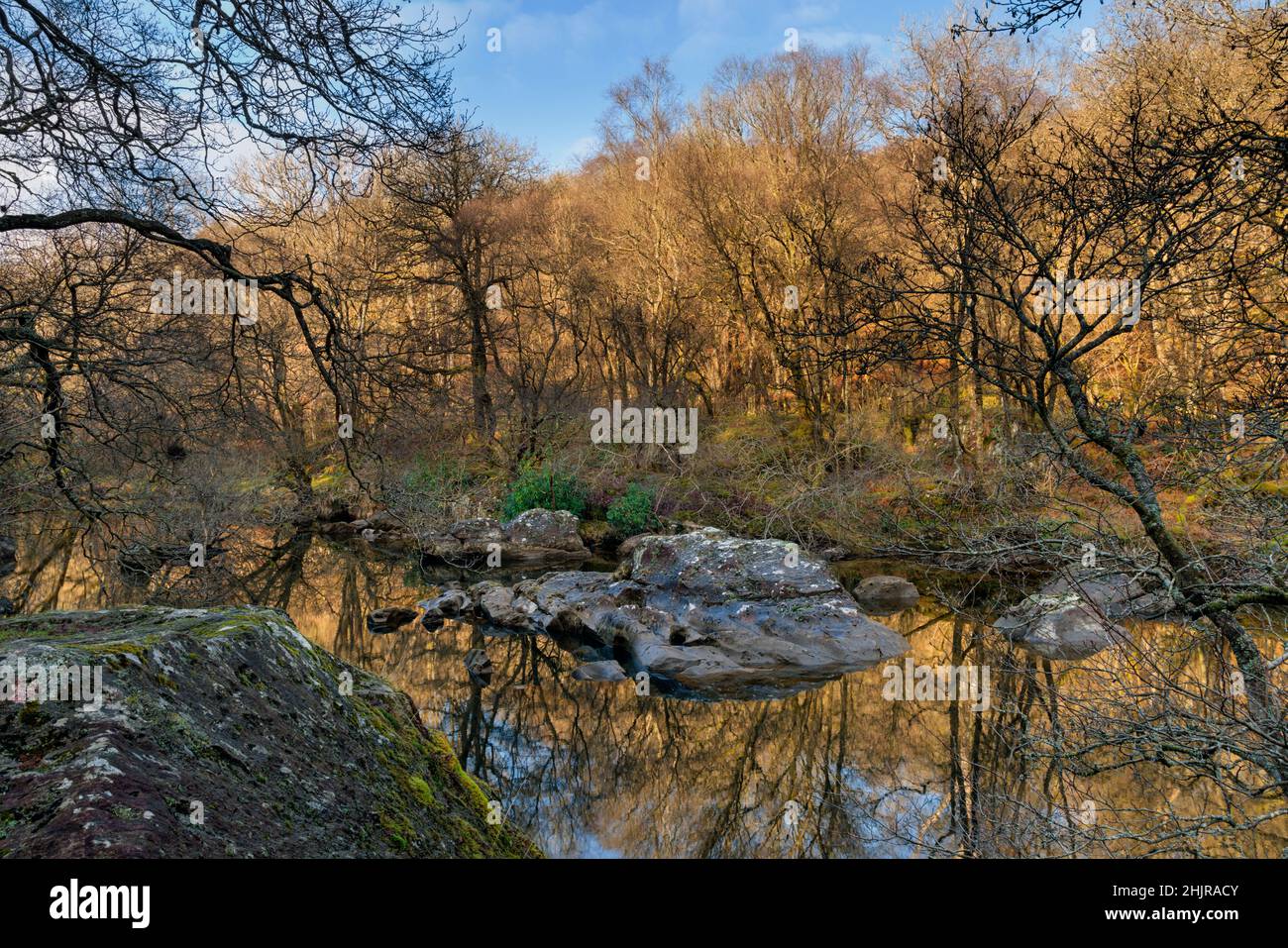 Rivière Elan au milieu du pays de Galles. Banque D'Images