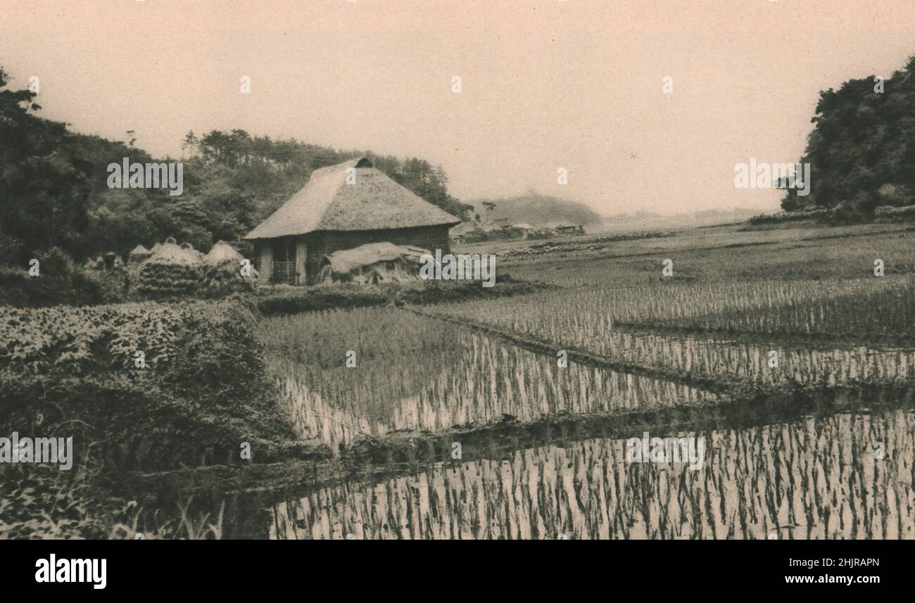 Au sud de Yokohama, il y a une crique appelée Mississippi Bay. Au-dessus de l'arrière-pays se trouvent de larges champs de riz avec des fermes de chaume. Japon (1923) Banque D'Images