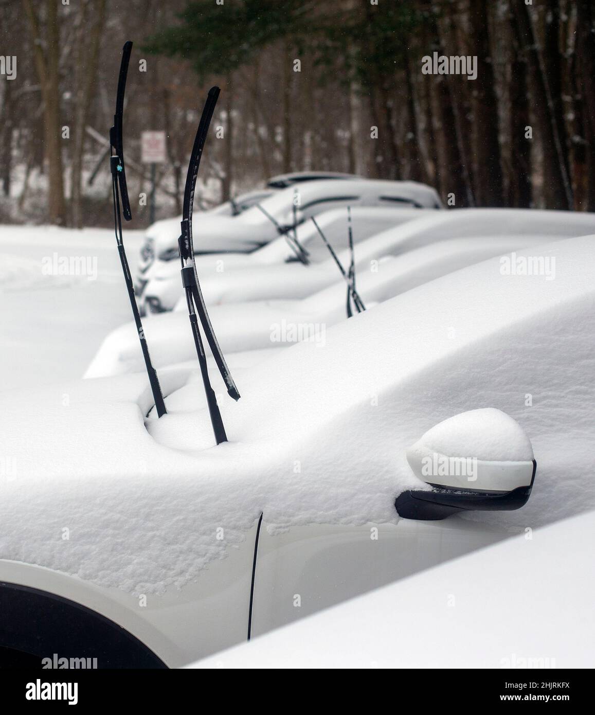 Les voitures avec leurs essuie-glaces de pare-brise vers le haut pour empêcher le givrage pendant une tempête de neige Banque D'Images