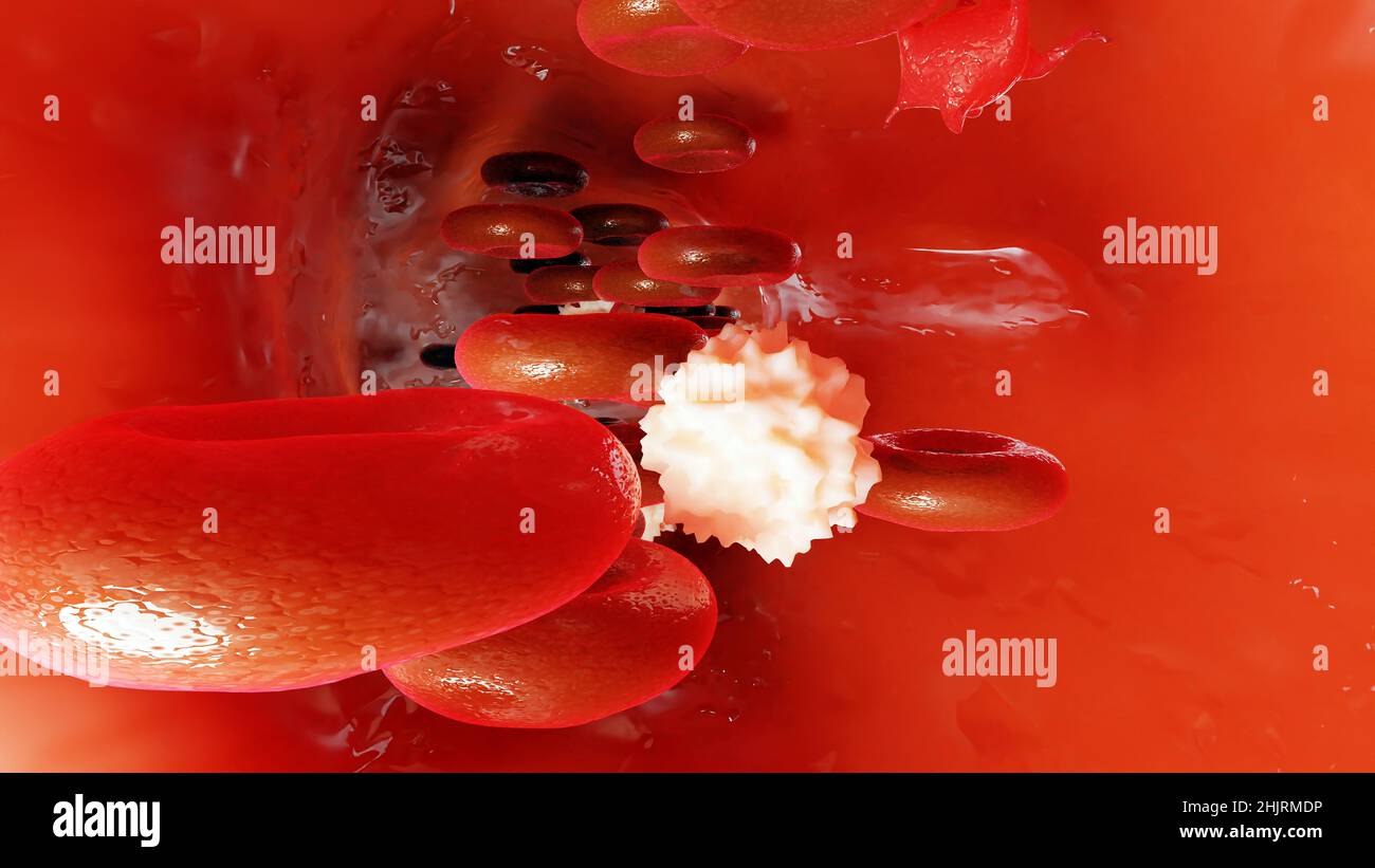 Hémostase. Globules rouges et plaquettes dans le vaisseau sanguin. Étapes de base du processus de cicatrisation des plaies. illustration 3d Banque D'Images
