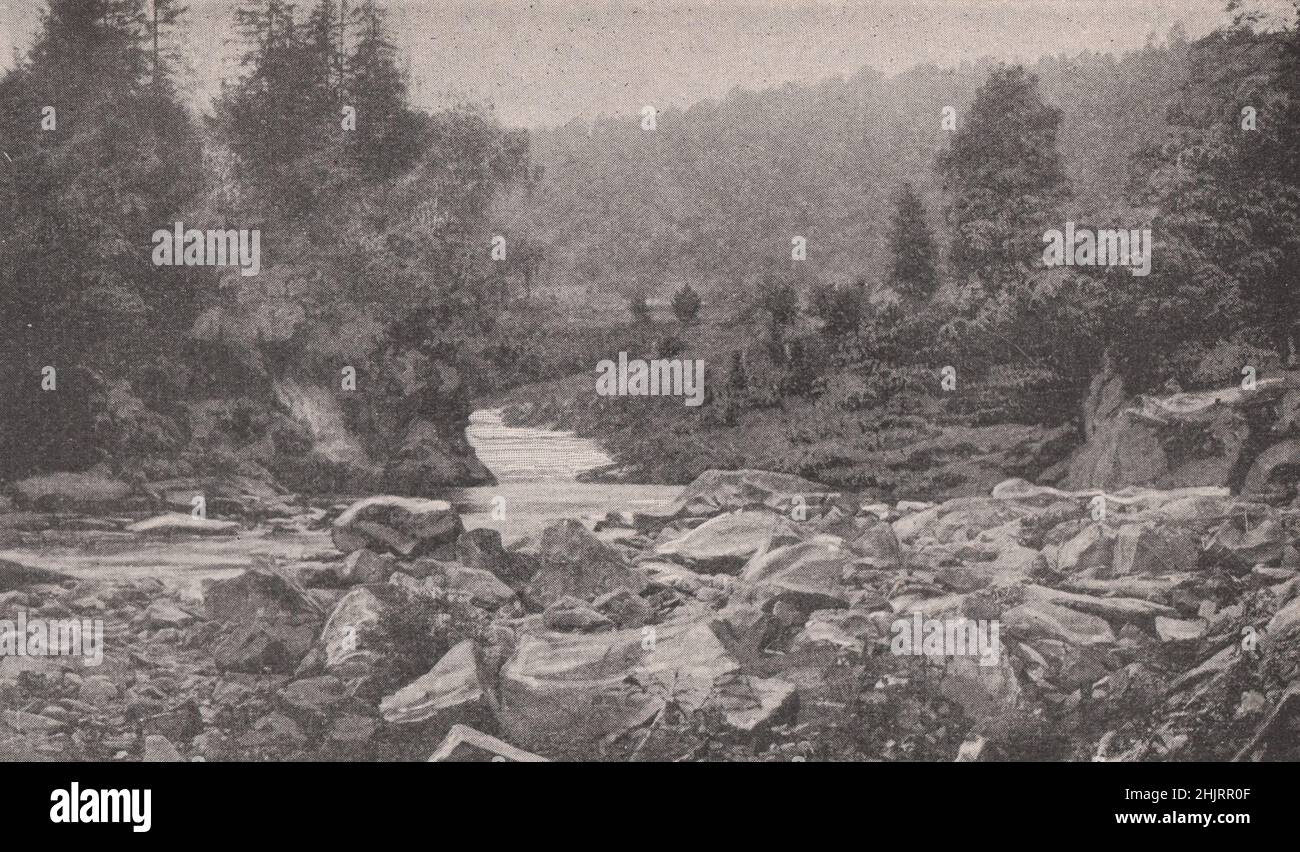 Jaremcze, un endroit de beauté dans les Carpates boisés. Ukraine (1923) Banque D'Images