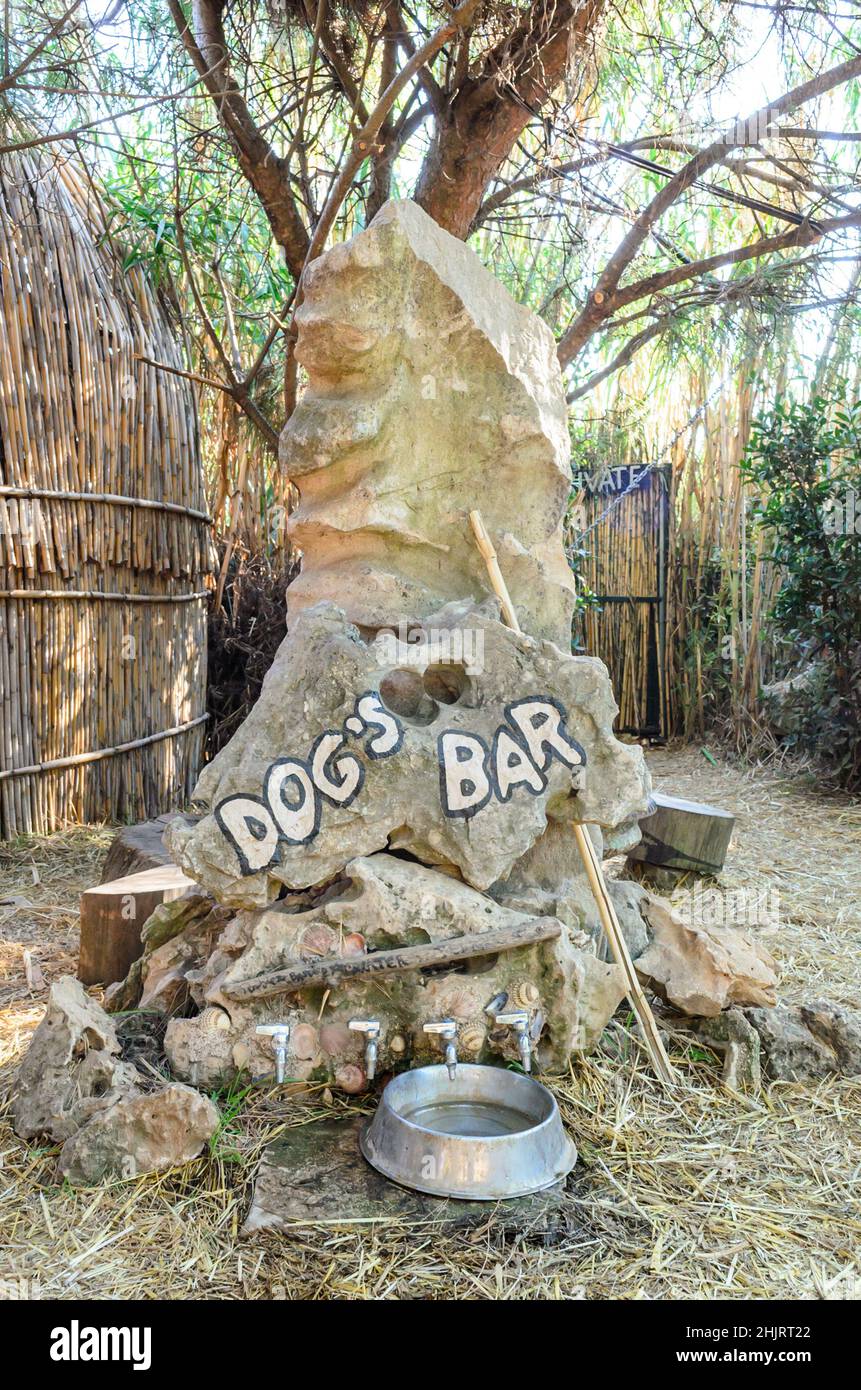 Dog's Bar dans un bar extérieur d'été à Pula, Croatie. Construction en pierre avec robinets et un bol métallique plein d'eau, pour que les animaux puissent boire. Banque D'Images