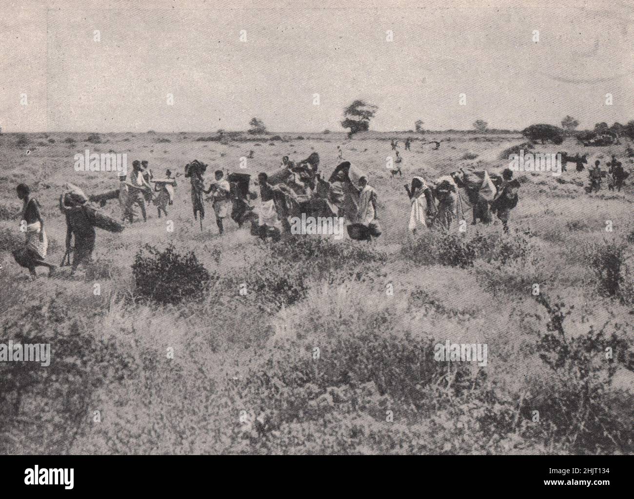 Somalis trekking à travers le pays à la recherche de pâturages nouveau. Somalie. Somaliland (1923) Banque D'Images