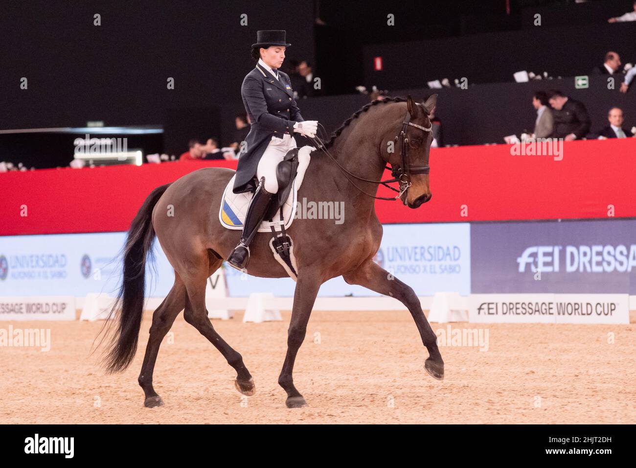 Inna Logotenkova (UKR) et Fleraro (DWB) lors de la coupe du monde de la FEI de Longines le 29 2019 novembre à la semaine du cheval de Madrid, Espagne Banque D'Images