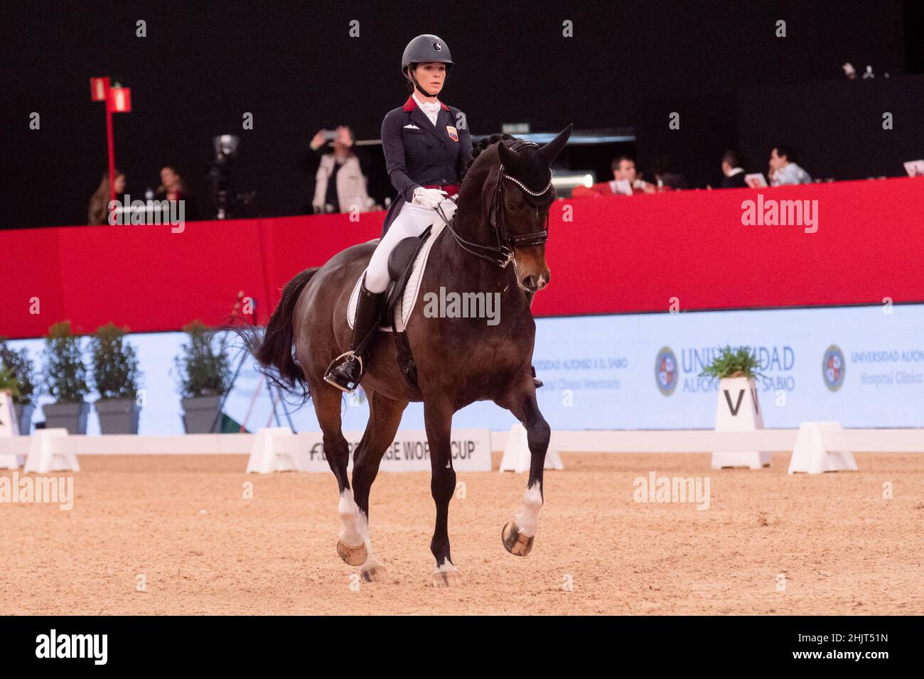 Patricia Ferranco (VEN) con Elvis (KWPN) lors de la coupe du monde de la FEI de Longines le 29 2019 novembre à la semaine du cheval de Madrid, Espagne Banque D'Images