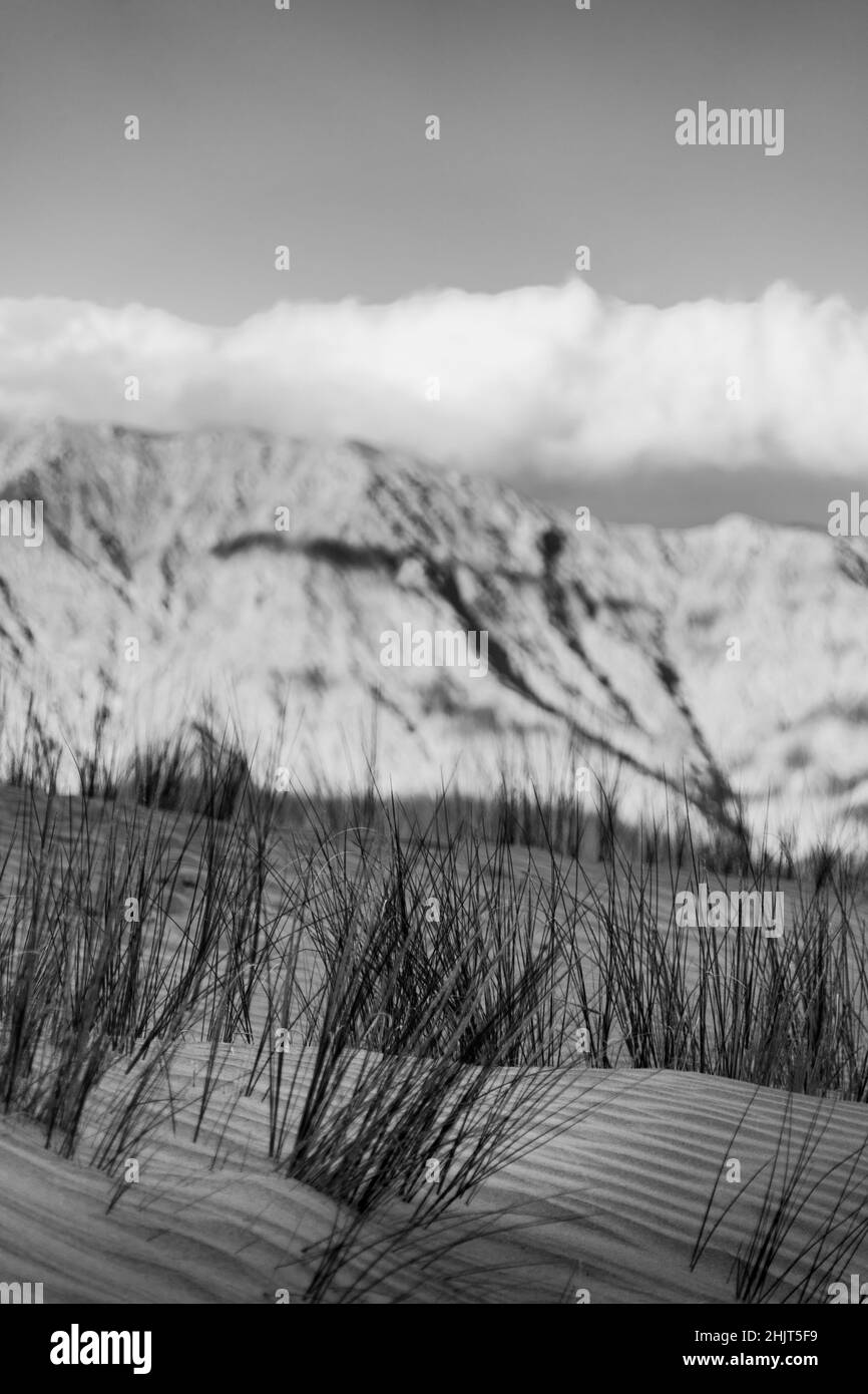 Photo en niveaux de gris de dunes de sable avec des montagnes en arrière-plan Banque D'Images