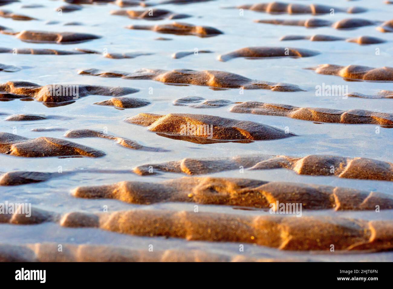 Un plan de bas niveau des ondulations créées dans les sables d'une plage avec le reflux et le flux des marées, illuminés obliquement par un soleil d'après-midi hiverne. Banque D'Images