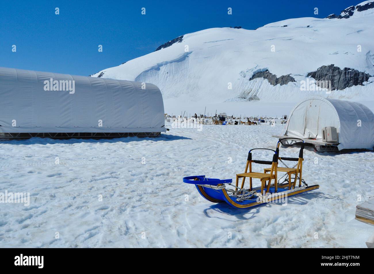 Camp de musher au sommet du glacier Mendenhall à Juneau Icefield, Alaska Banque D'Images