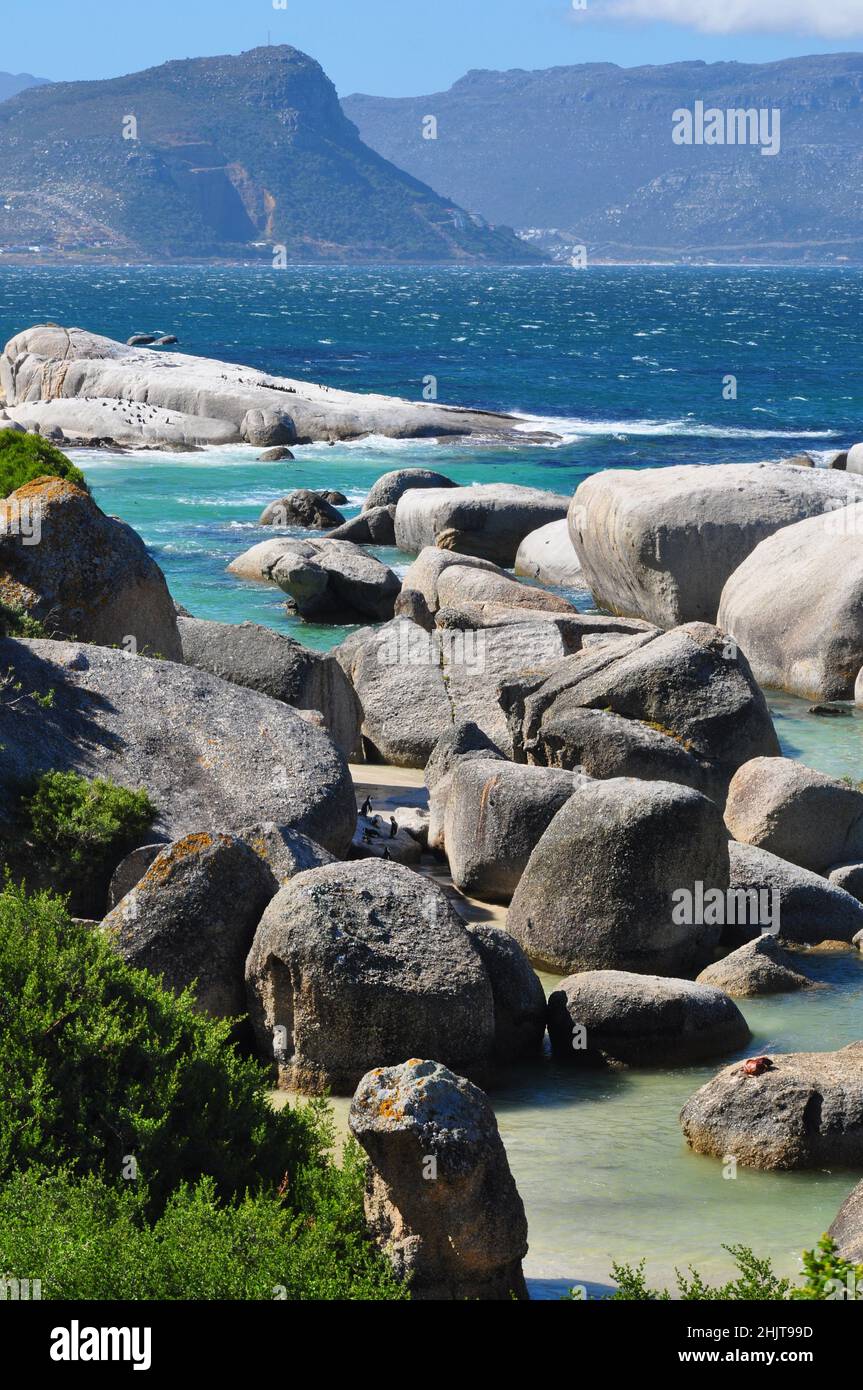Plage de Boulders près de la ville de Simons, Afrique du Sud, péninsule du Cap Banque D'Images