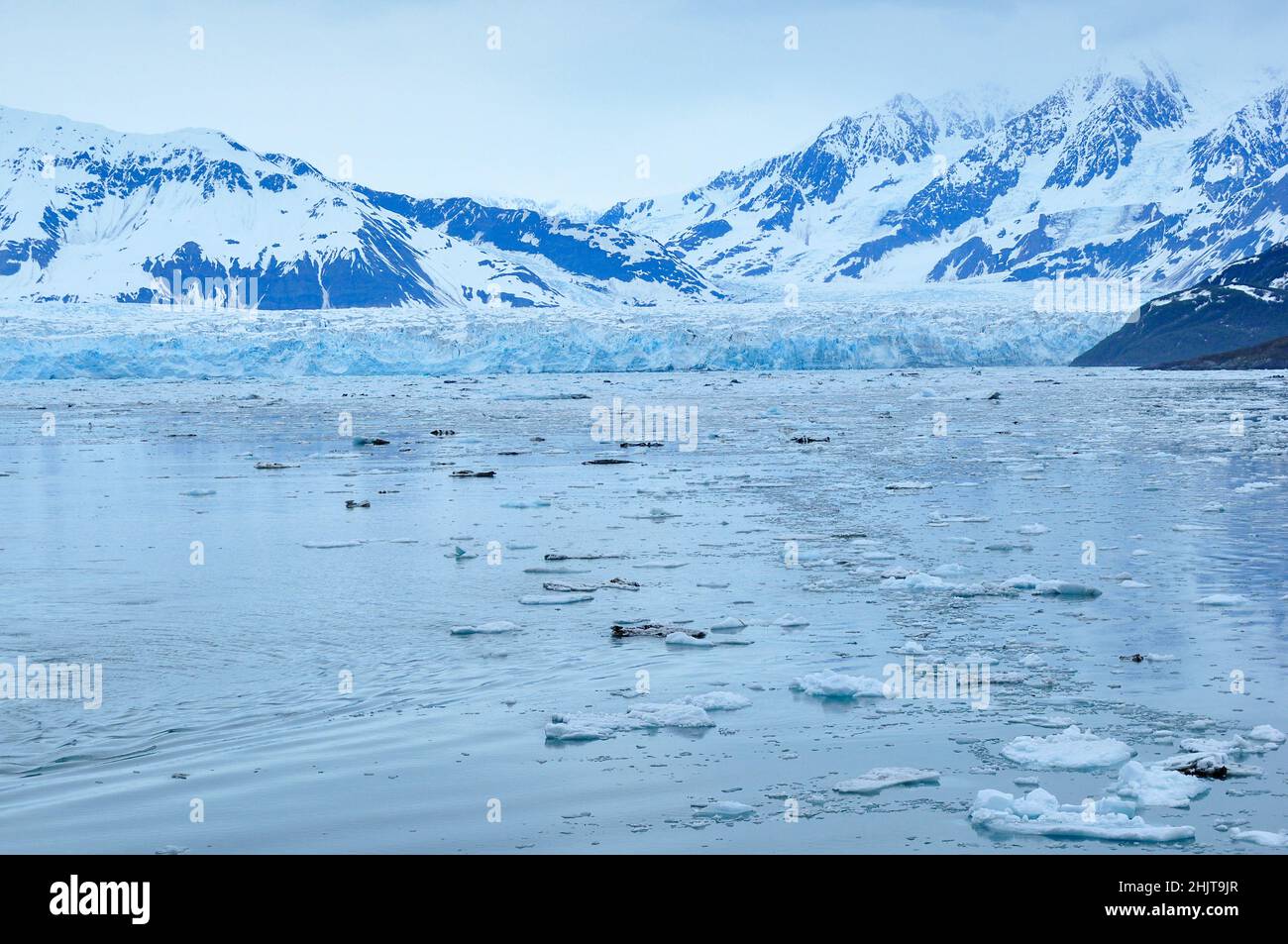 Vue sur le glacier Mendenhall à Juneau Icefield, Alaska Banque D'Images