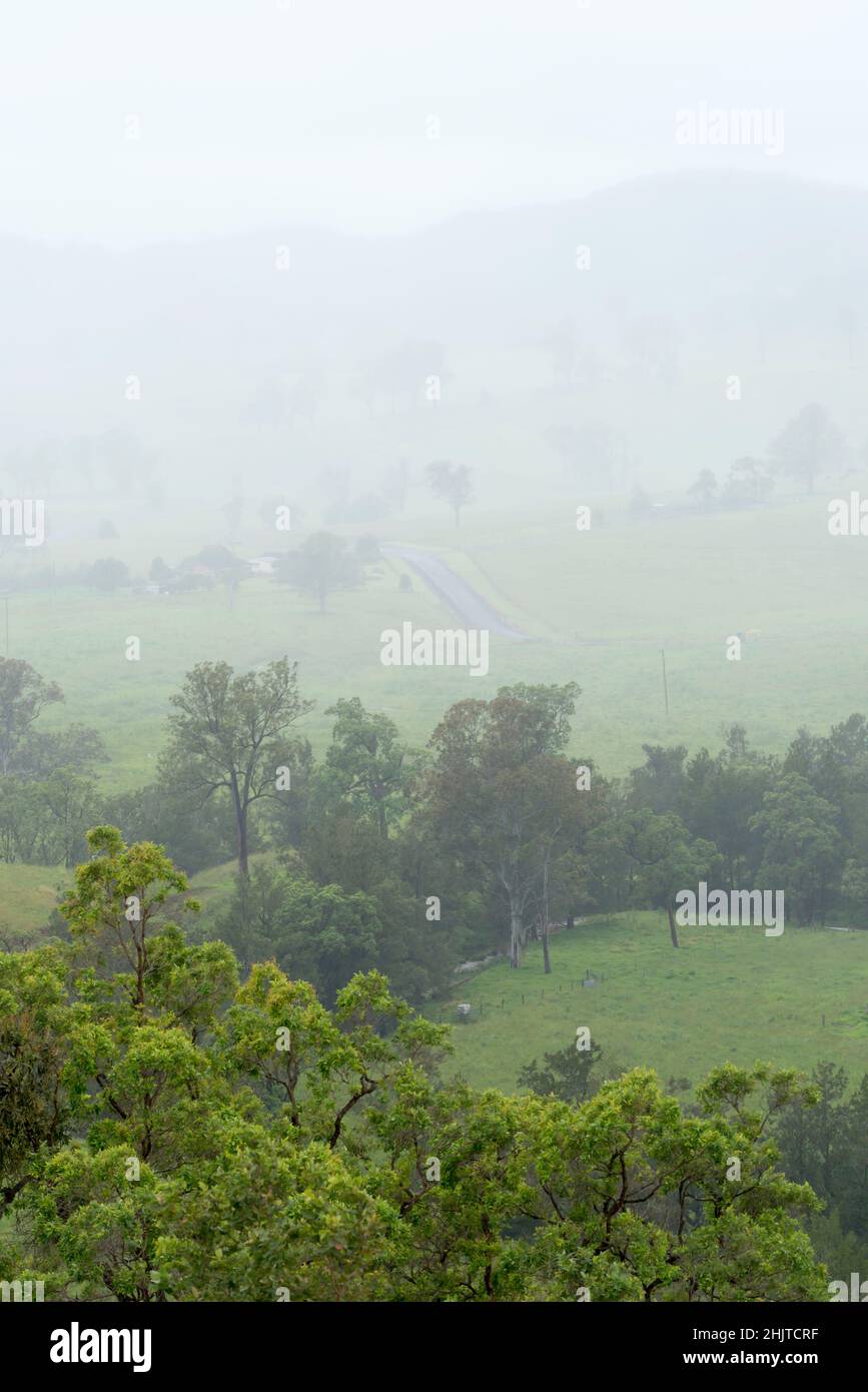 La vue depuis Mograni Lookout sur la route Buckets Way qui descend vers une vallée rurale brumeuse et pluvieuse près de Gloucester, en Nouvelle-Galles du Sud, en Australie Banque D'Images