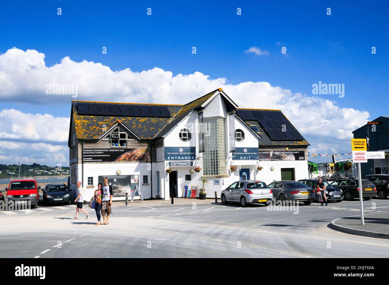 La National Lobster Hatchery est une association caritative de conservation, de recherche et d'éducation en milieu marin basée à Padstow, en Cornouailles, en Angleterre, au Royaume-Uni. Banque D'Images