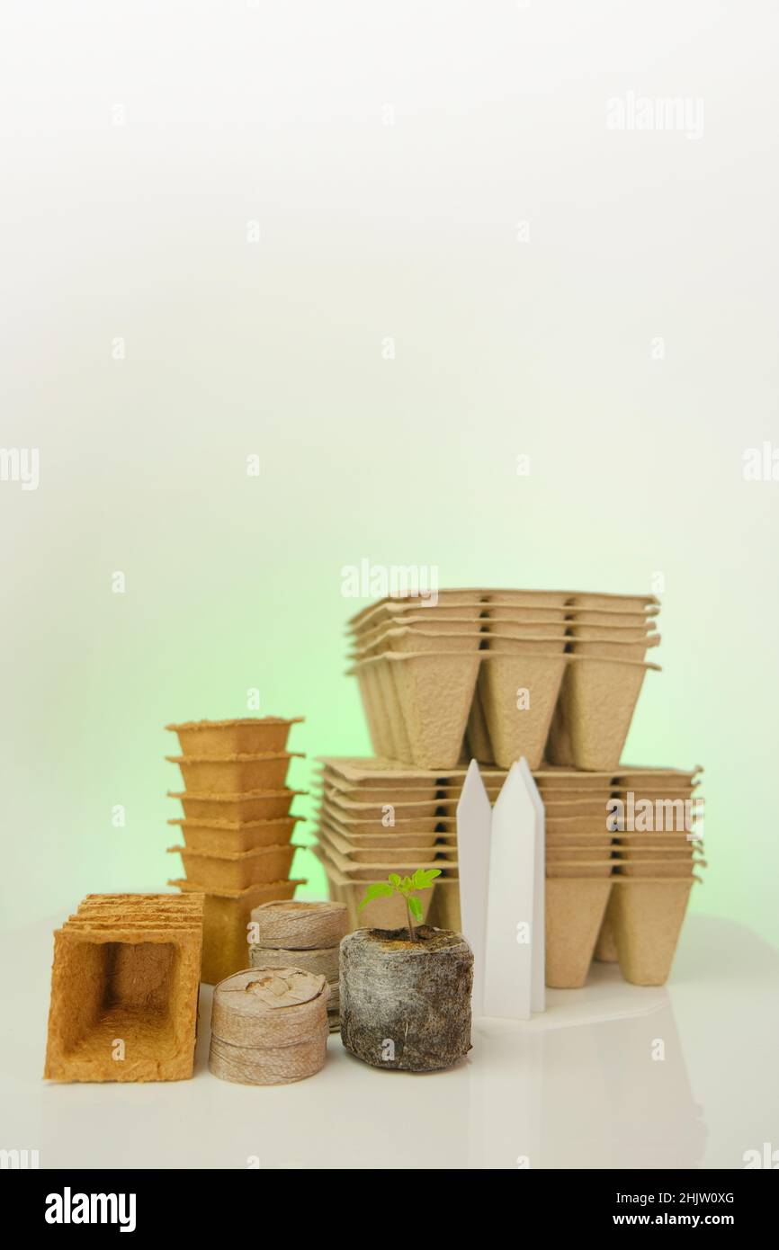 Plants de tomate, comprimés de tourbe et tasses pour les semis. Matériel naturel biodégradable pour la culture de légumes naturels. Matériel de plantation sur un vert Banque D'Images