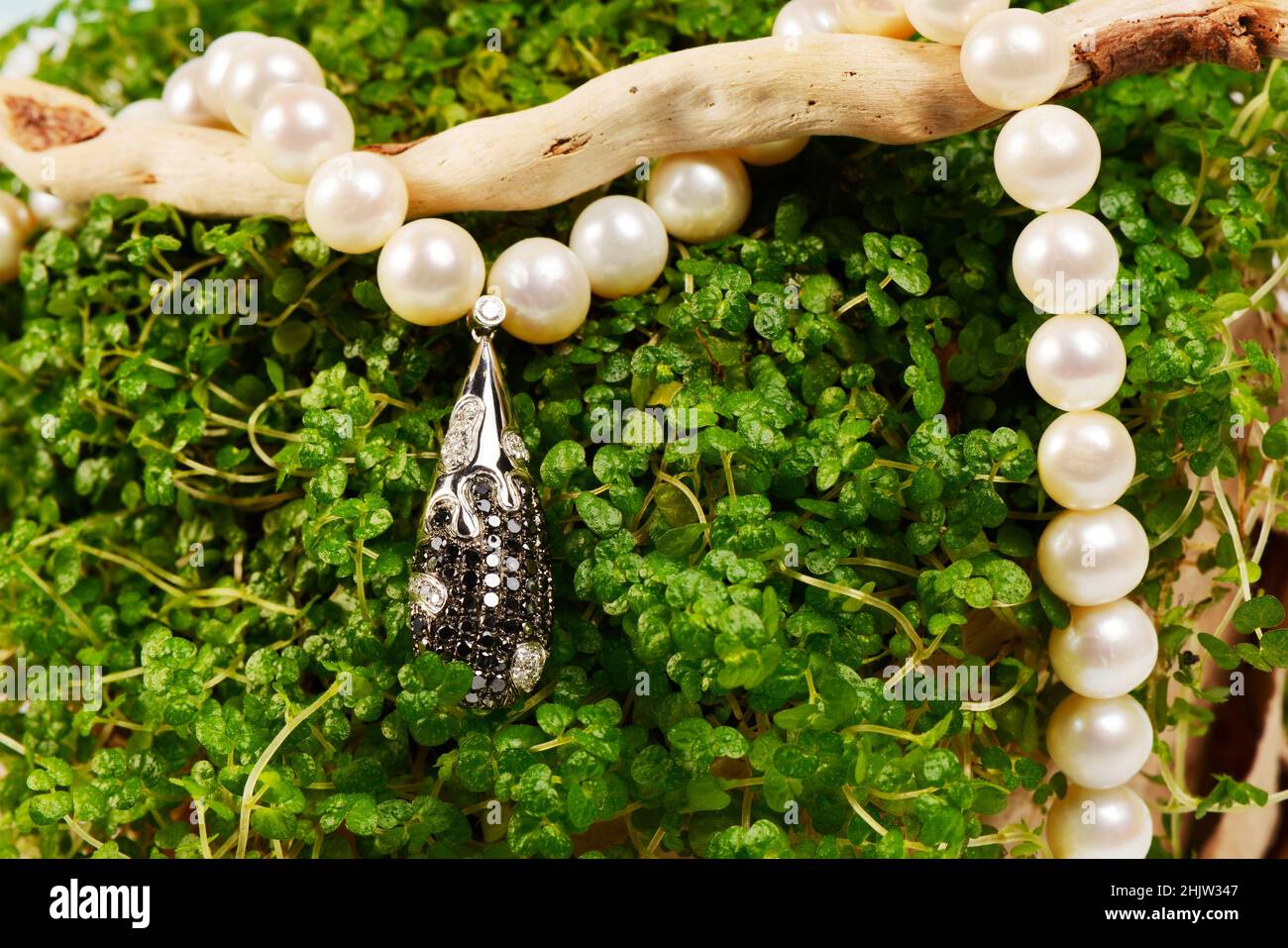 Pendentif de platine pour femmes avec des diamants noirs et blancs sur un collier de perles de preciouse, sur un peu de feuilles vertes, micro.Bijoux de luxe pour femmes Banque D'Images