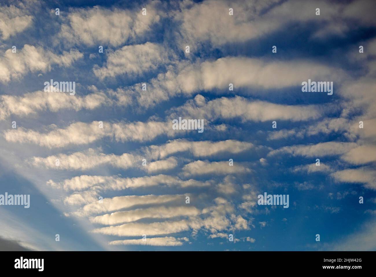Rues nuageuses dans le ciel bleu, un type de formation de nuages également connu sous le nom de rouleaux convectifs horizontaux Banque D'Images