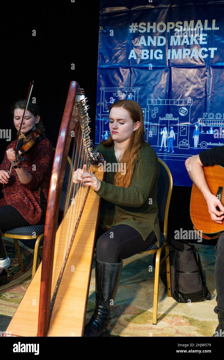 Ensemble de musiciens jouant de la harpe, du violon et de la guitare pour un événement au Irish Celtic Junction Arts Centre.St Paul Minnesota MN États-Unis Banque D'Images