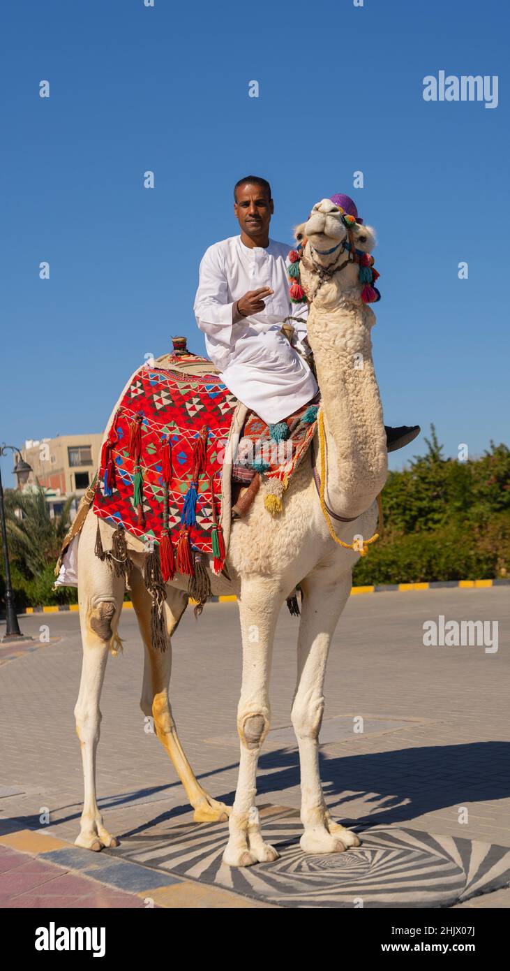 Homme arabe assis sur un chameau dans une zone touristique. Banque D'Images