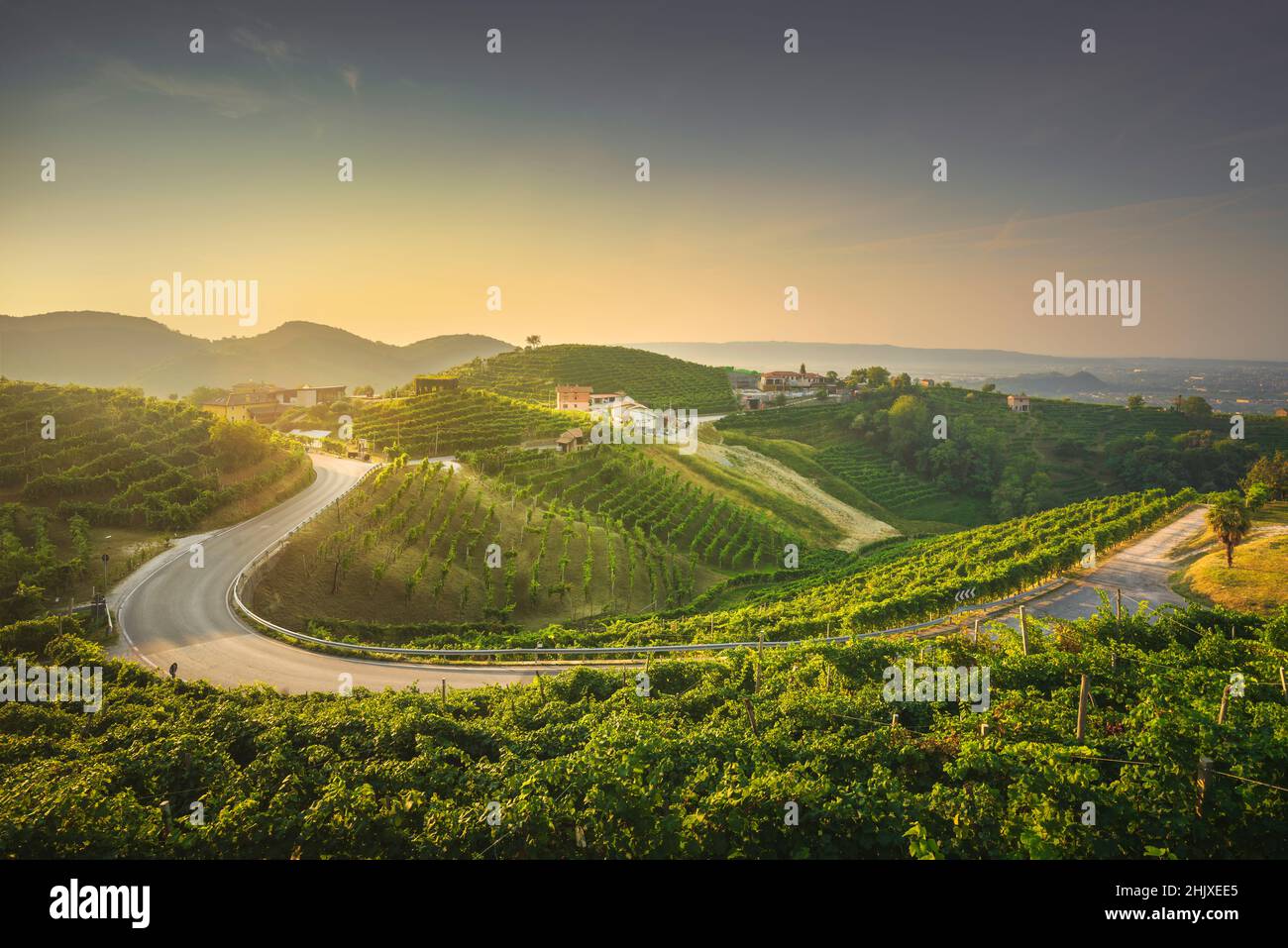Vignobles et une route au lever du soleil.Prosecco Hills, site classé au patrimoine mondial de l'UNESCO.Valdobbiadene, Vénétie, Italie Banque D'Images